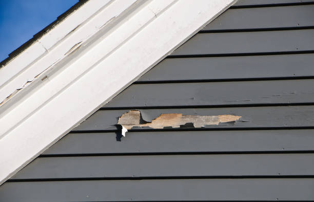 Best Siding Replacement  in Templeton, CA